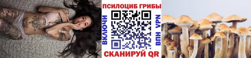 Галлюциногенные грибы Cubensis  Геленджик 